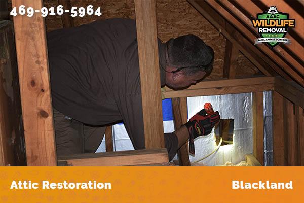 Attic Restoration Blackland