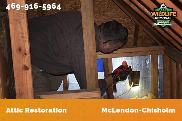 Attic Restoration McLendon-Chisholm