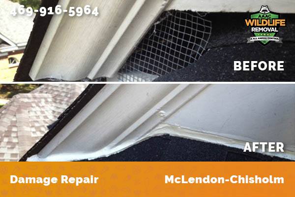 Damage Repair McLendon-Chisholm