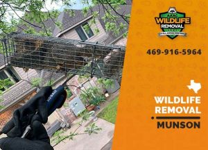 Munson Wildlife Removal professional removing pest animal